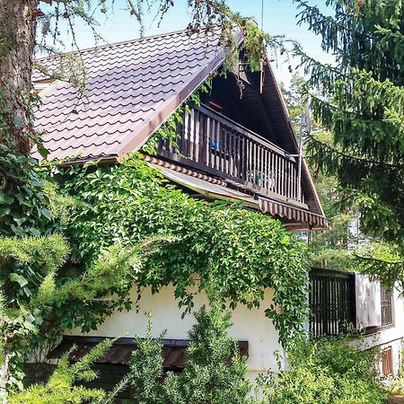 3 Bedroom Stunning Home In Dziemiany Extérieur photo